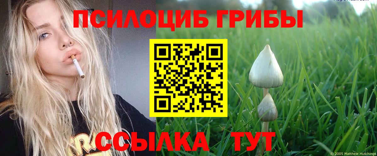 Славянск-на-Кубани  Галлюциногенные грибы Cubensis  Галлюциногенные грибы мицелий  цены наркотик  Вход с VPN 